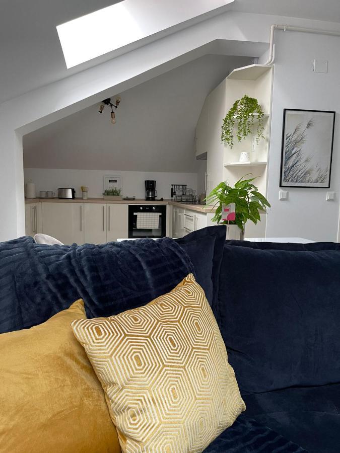 Nova Lake Apartamente Satu Mare Extérieur photo